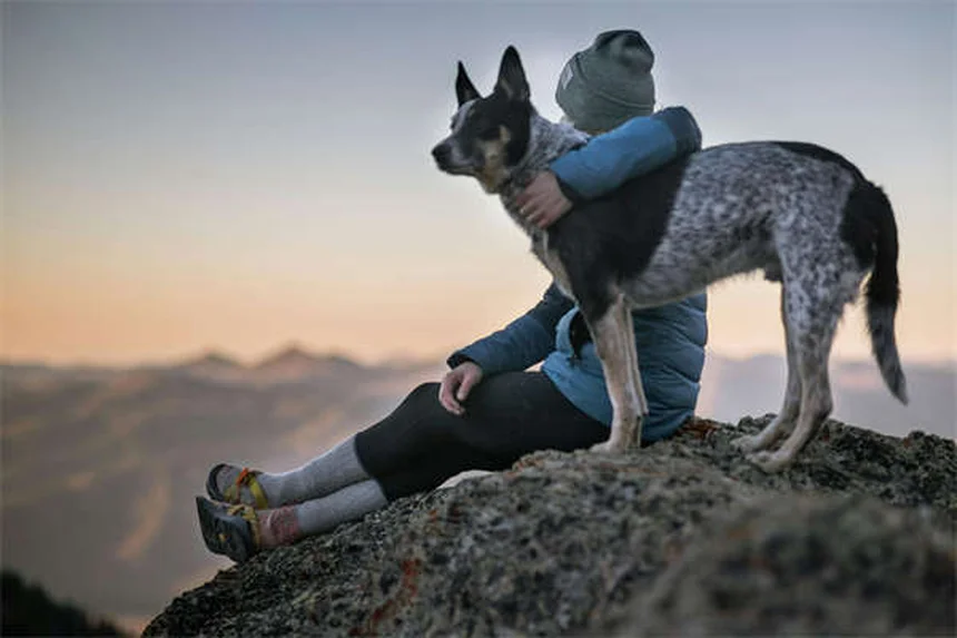 5 Surprising Reasons Dogs Are Truly Man's Best Friend